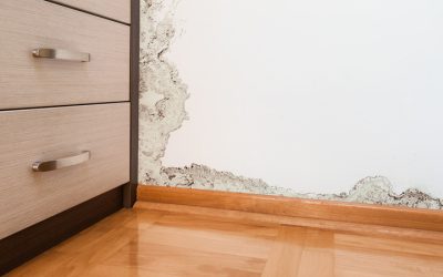 Tips To Prevent The Need For Water Damage Repair In Carmel IN